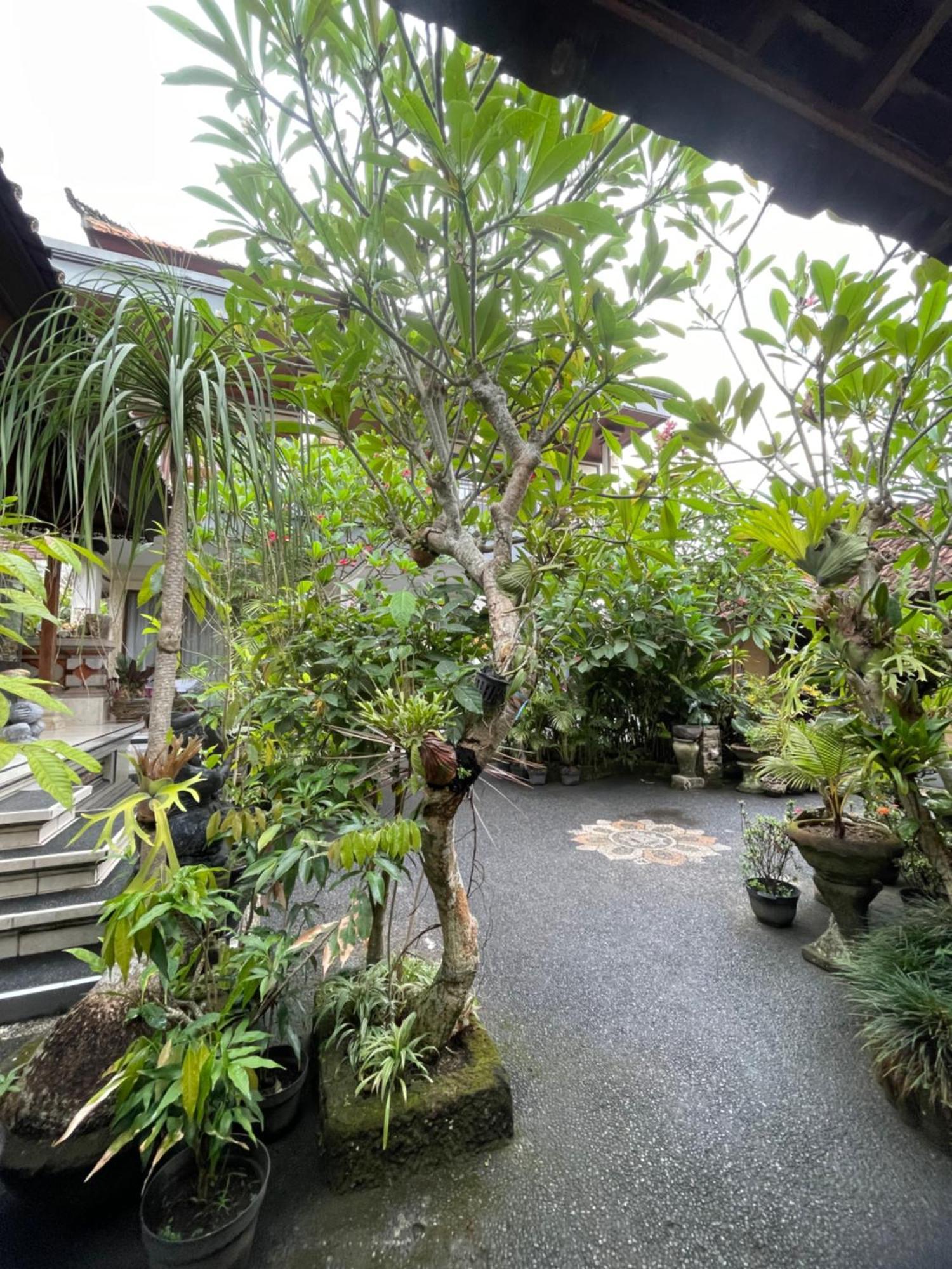 Suntari Homestay อูบุด ภายนอก รูปภาพ